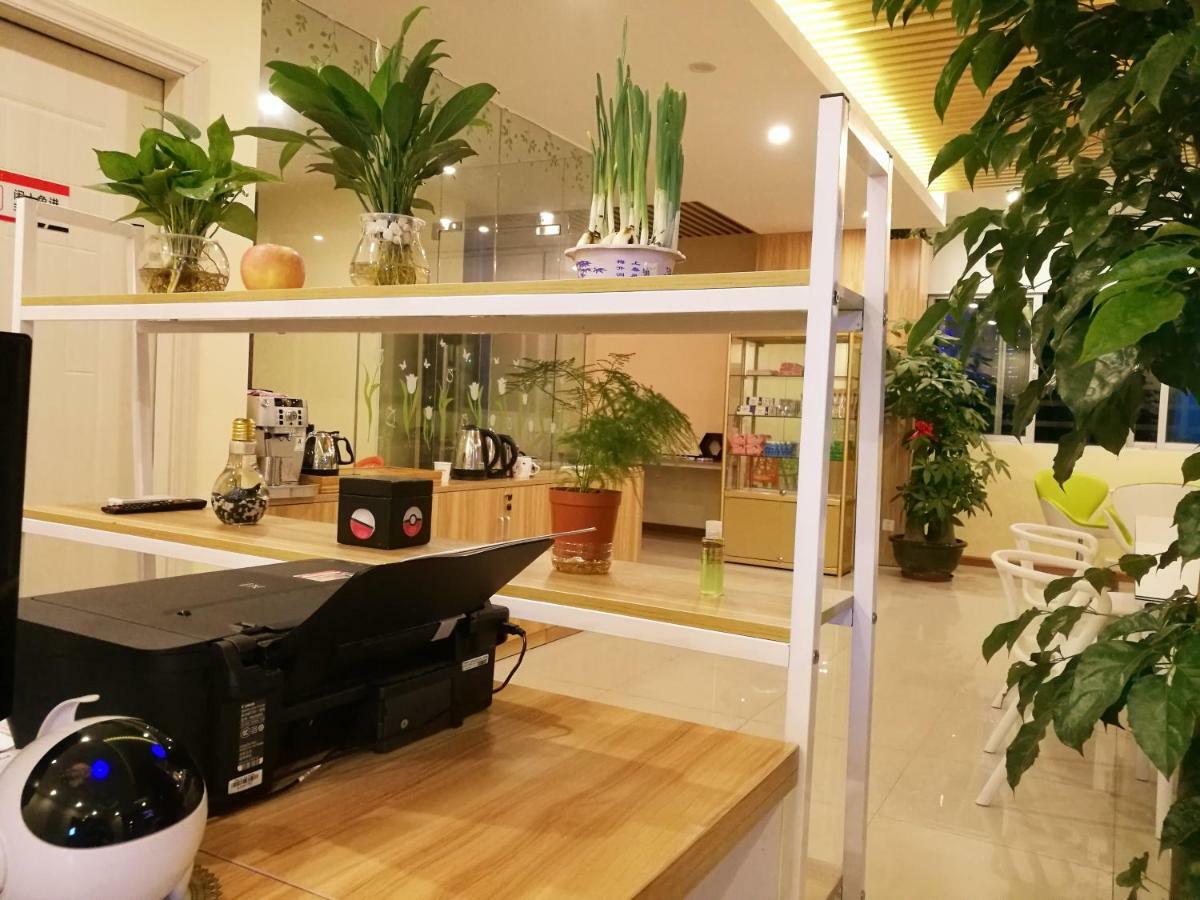 The Olive Tree Capsule Hostel Шэньчжэнь Экстерьер фото